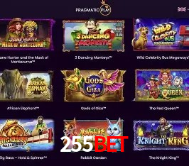 Security Systems 255bet